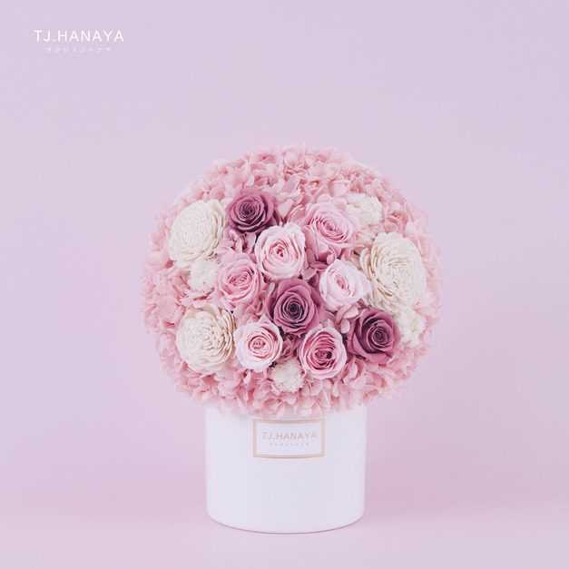 永生玫瑰盆花＃柔粉玫瑰