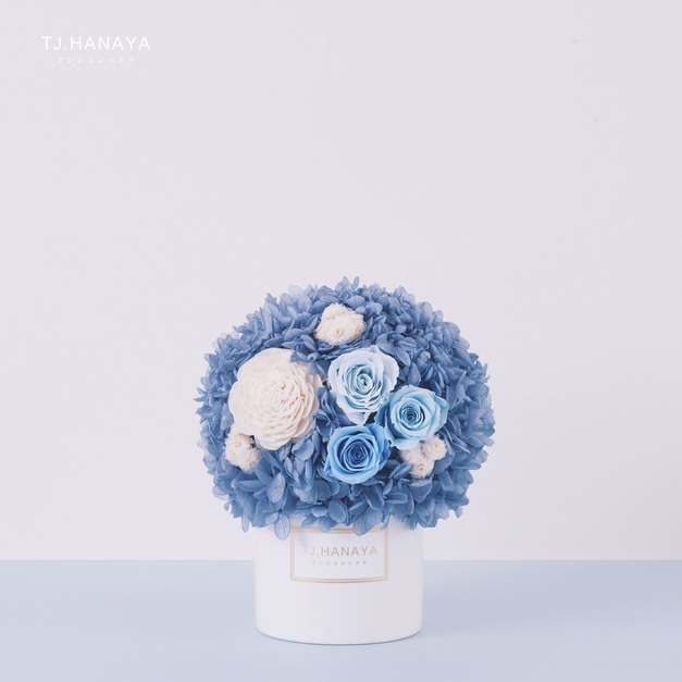 迷你永生盆花＃迷霧藍