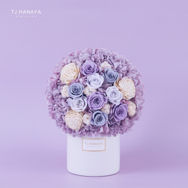 永生玫瑰盆花＃薰紫玫瑰