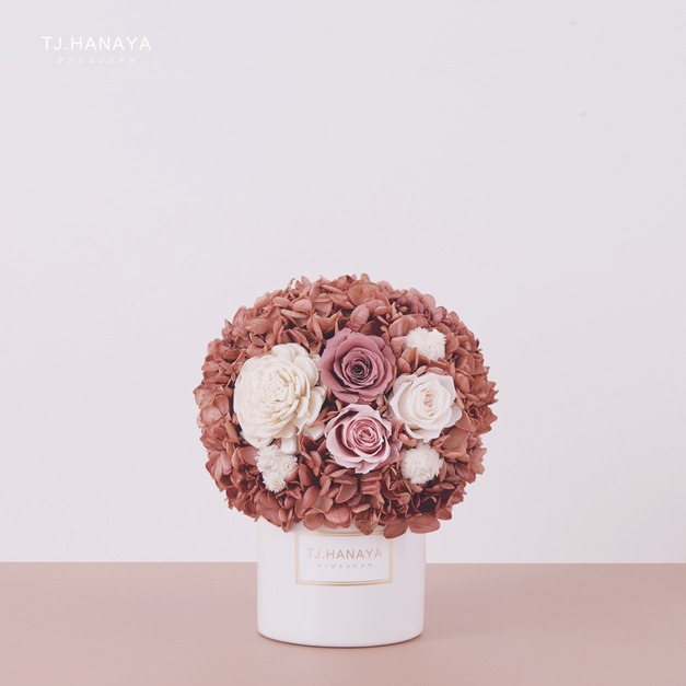 迷你永生盆花＃莓果紅