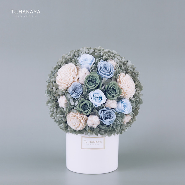 永生玫瑰盆花＃森綠玫瑰