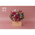 新春永生大理花盆花｜桃禧_10
