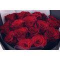 17朵進口玫瑰花束｜FB051_2