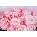 17朵進口玫瑰花束｜FB053_3