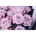 17朵進口玫瑰花束｜FB054_3