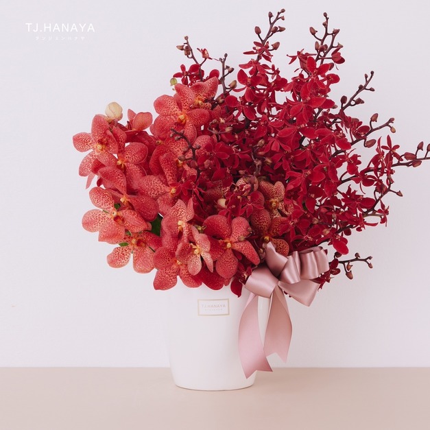 鮮花開幕盆花｜FL088