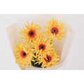 鮮花捲邊太陽花束｜FB065_2