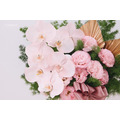鮮花榮陞盆花｜FL051_6