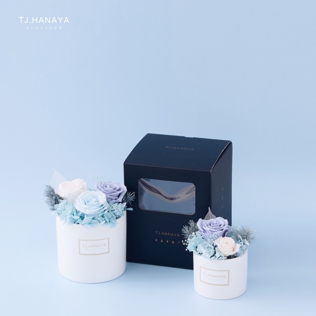 永生玫瑰盆花禮盒｜大小組合