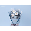 永生小雛菊花束_5