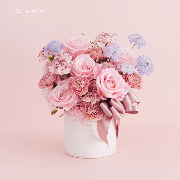 母親節鮮花康乃馨盆花