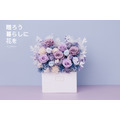 永生長型盆花｜紫霧藍_9