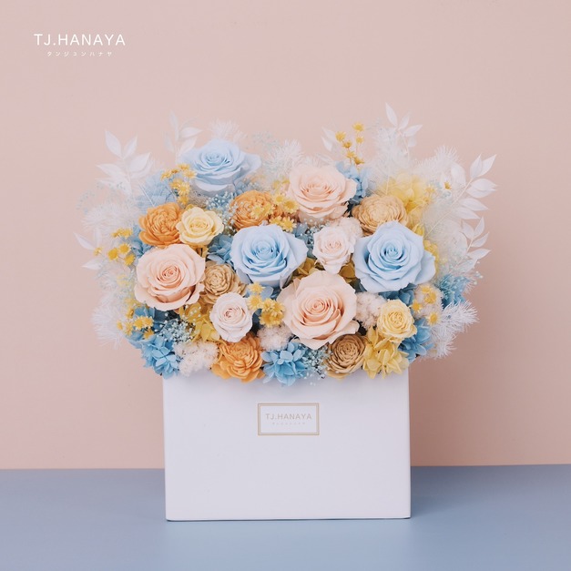 永生長型盆花｜春日藍