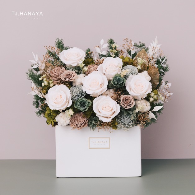 永生長型盆花｜山林綠