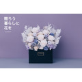永生長型盆花｜雪霧灰_8