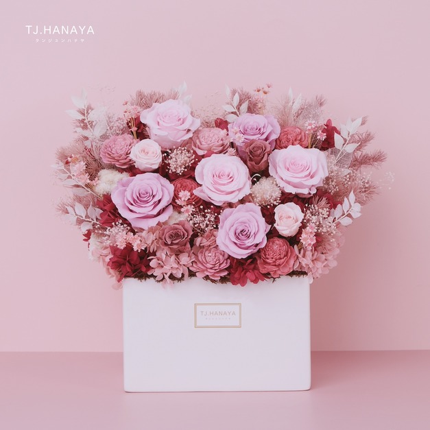 永生長型盆花｜蜜桃粉