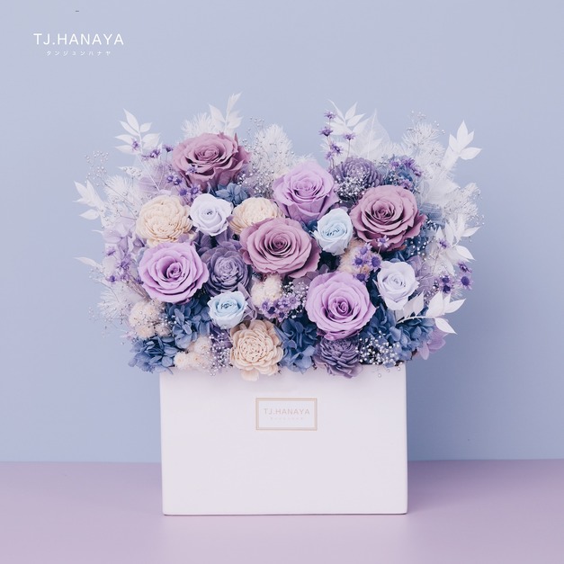 永生長型盆花｜紫霧藍