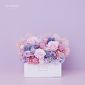 永生長型盆花｜繽紛紫