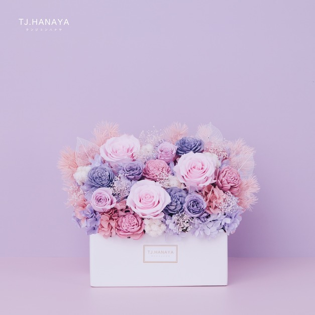 永生長型盆花｜繽紛紫