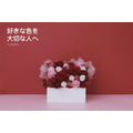 永生長型盆花｜蔓越紅_9