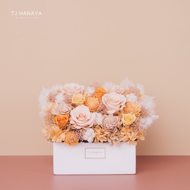 永生長型盆花｜香檳橙