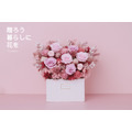 永生長型盆花｜蜜桃粉_9