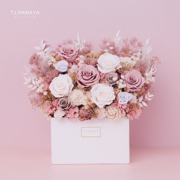 永生長型盆花｜裸茶白