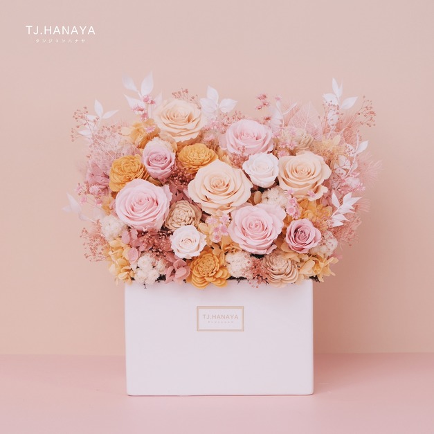 永生長型盆花｜日光橙