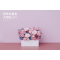 永生長型盆花｜藍莓粉_9