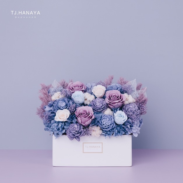 永生長型盆花｜雲霧藍