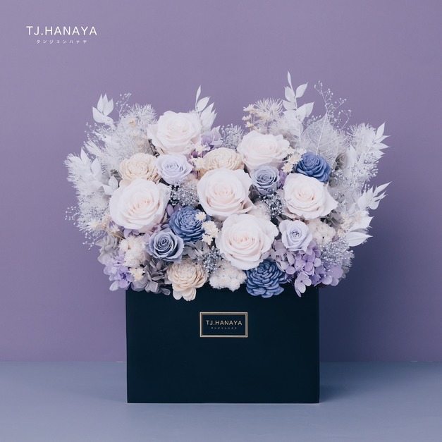 永生長型盆花｜雪霧灰