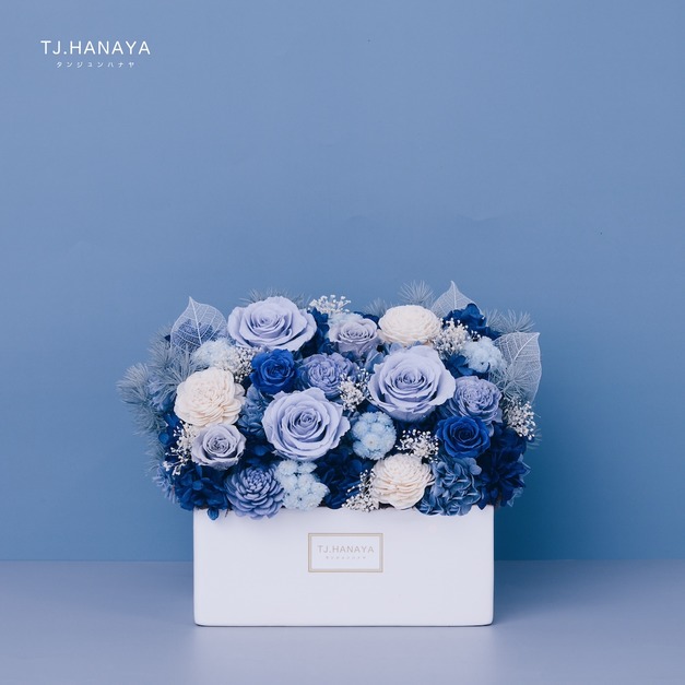 永生長型盆花｜薄霧藍