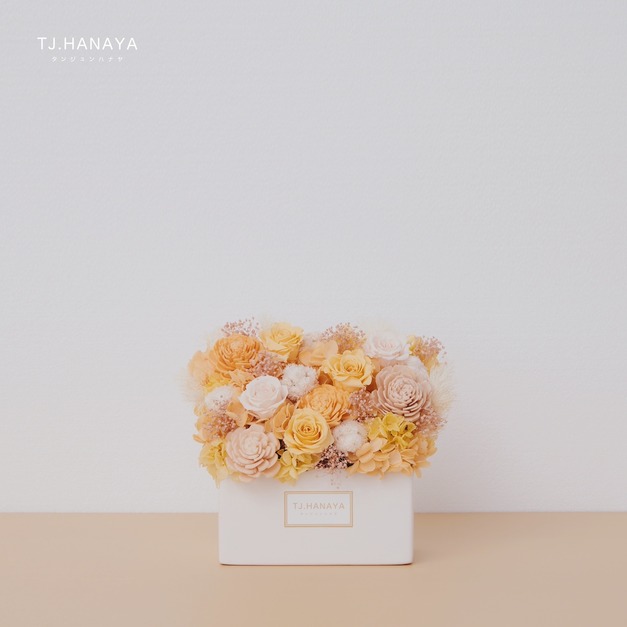 永生長型盆花｜迷你橙