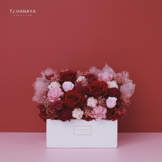 永生長型盆花｜蔓越紅