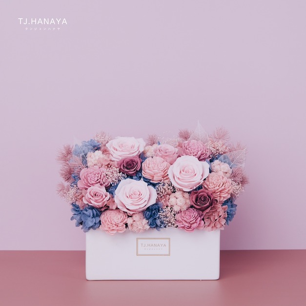 永生長型盆花｜藍莓粉