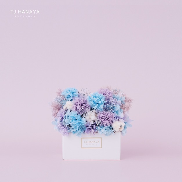 永生康乃馨迷你盆花｜藍紫