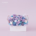 永生康乃馨中型盆花｜藍紫