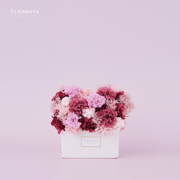 永生康乃馨迷你盆花｜紅粉