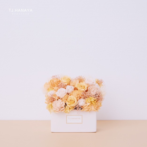 永生長型盆花｜迷你橙