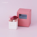 永生康乃馨大方禮盒｜藕粉