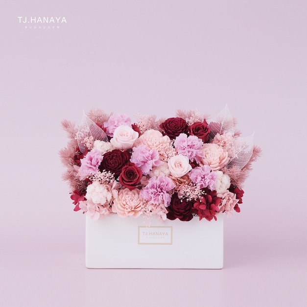 永生康乃馨中型盆花｜紅粉