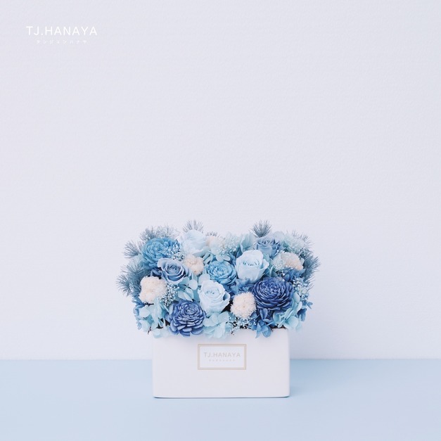 永生長型盆花｜迷你藍