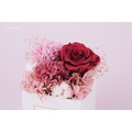 永生康乃馨大方禮盒｜藕粉_3