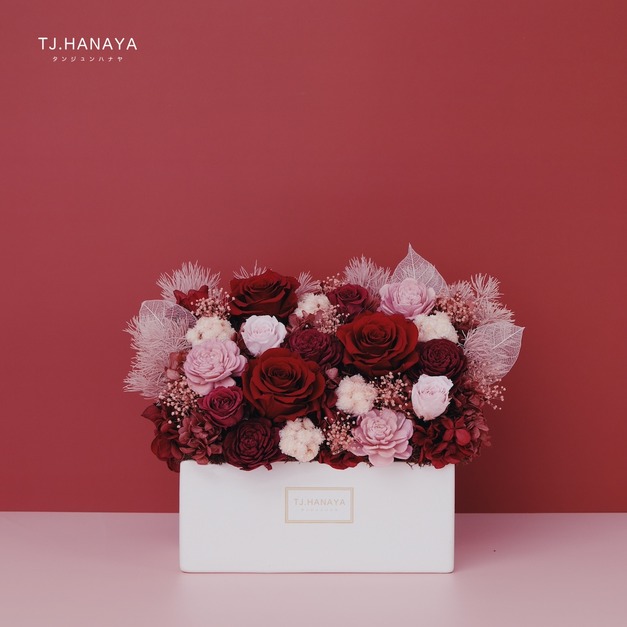 永生長型盆花｜蔓越紅