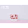 永生長型盆花｜迷你粉_9