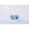 永生長型盆花｜迷你藍_9