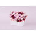 永生康乃馨禮盒｜長盆小花_1