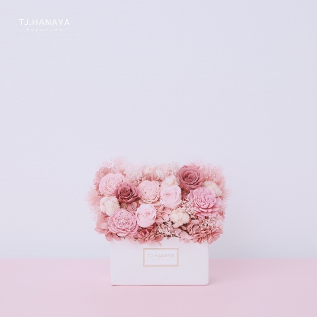 永生長型盆花｜迷你粉