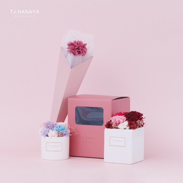 永生康乃馨禮盒｜單朵雙盆