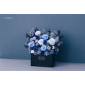 永生長型盆花｜夜空藍_1